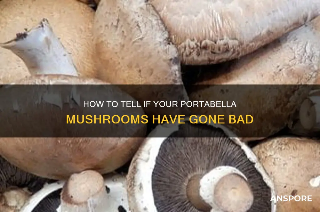 are my portabella mushrooms bad