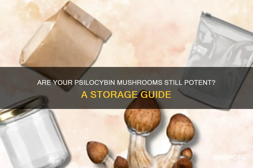 are my psilocybin mushrooms still good