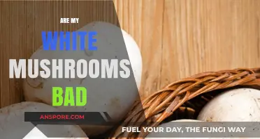 How to Tell If Your White Mushrooms Have Gone Bad: A Guide