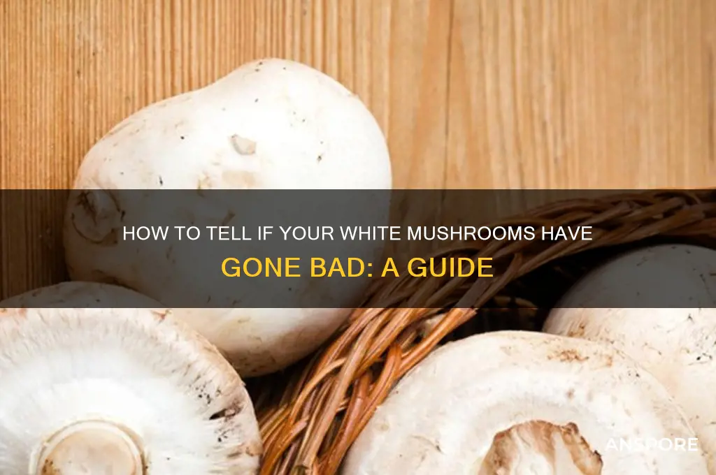 are my white mushrooms bad