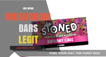 Mushroom Bars: Mynd's Legit Trip