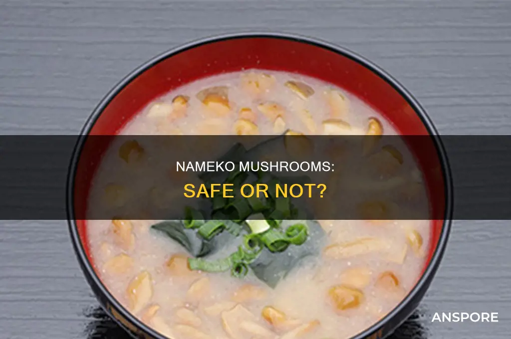 are nameko mushroom product of china safe