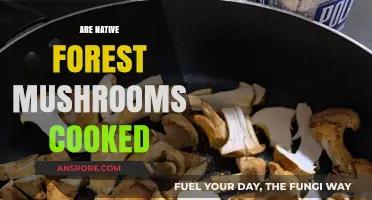 Cooking Native Forest Mushrooms: Safe Practices and Delicious Recipes