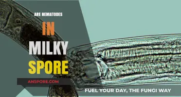 Nematodes and Milky Spore: Unraveling Their Relationship in Soil Health