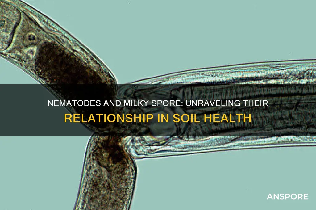 are nematodes in milky spore