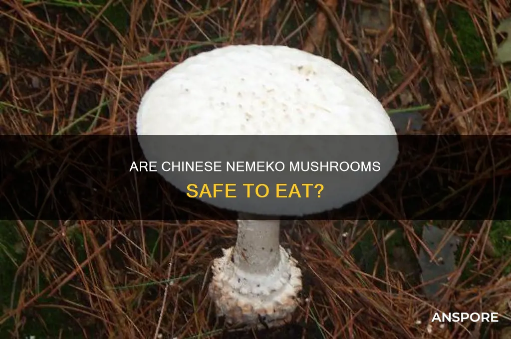 are nemeko mushrooms from china safe