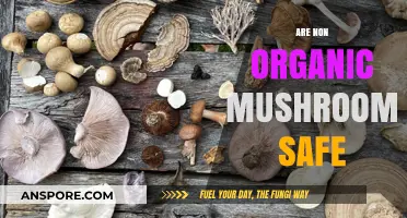 Mushroom Mystery: Are Non-Organic Fungi Safe?