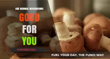 Are Normal Mushrooms Good for You? Unlocking Their Health Benefits