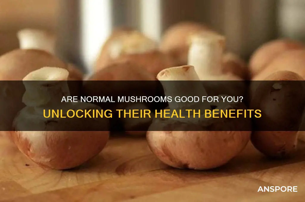 are normal mushrooms good for you