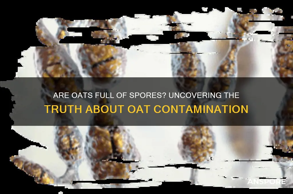 are oats full of spores