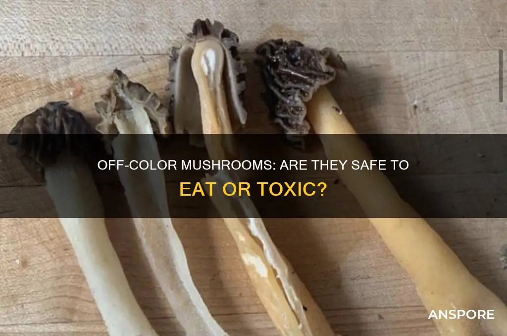 are off color mushrooms bad
