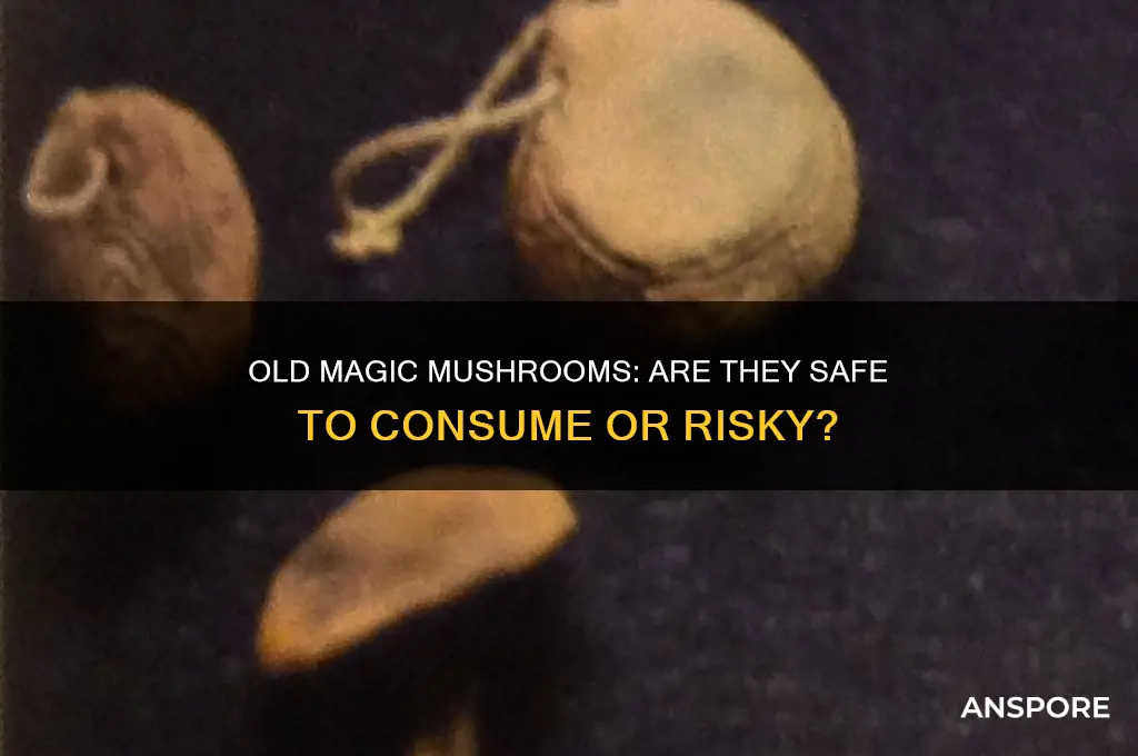 are old magic mushrooms safe to eat