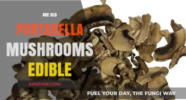 Can You Safely Eat Aged Portabella Mushrooms? A Guide