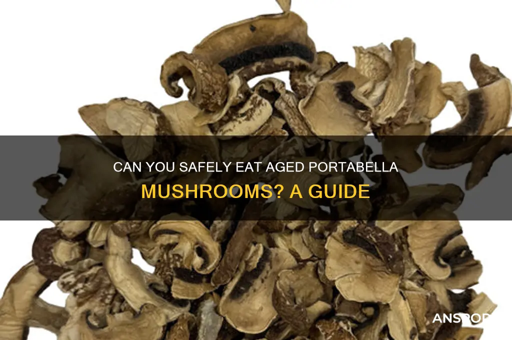 are old portabella mushrooms edible