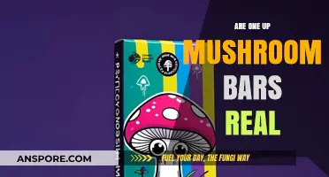 Psychedelic Mushroom Bars: Are They Legit?