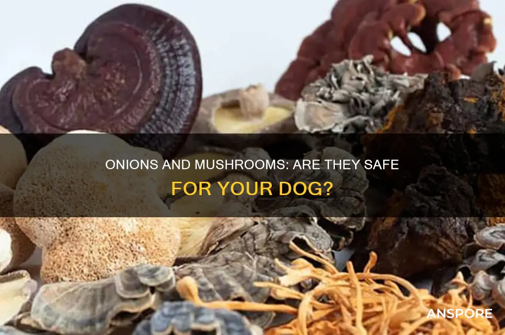 are onions and mushrooms bad for dogs