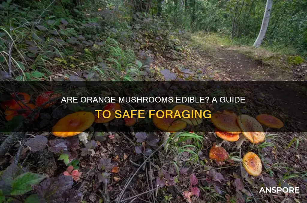 are orange mushrooms edible
