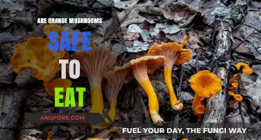 Are Orange Mushrooms Edible? A Guide to Safe Foraging
