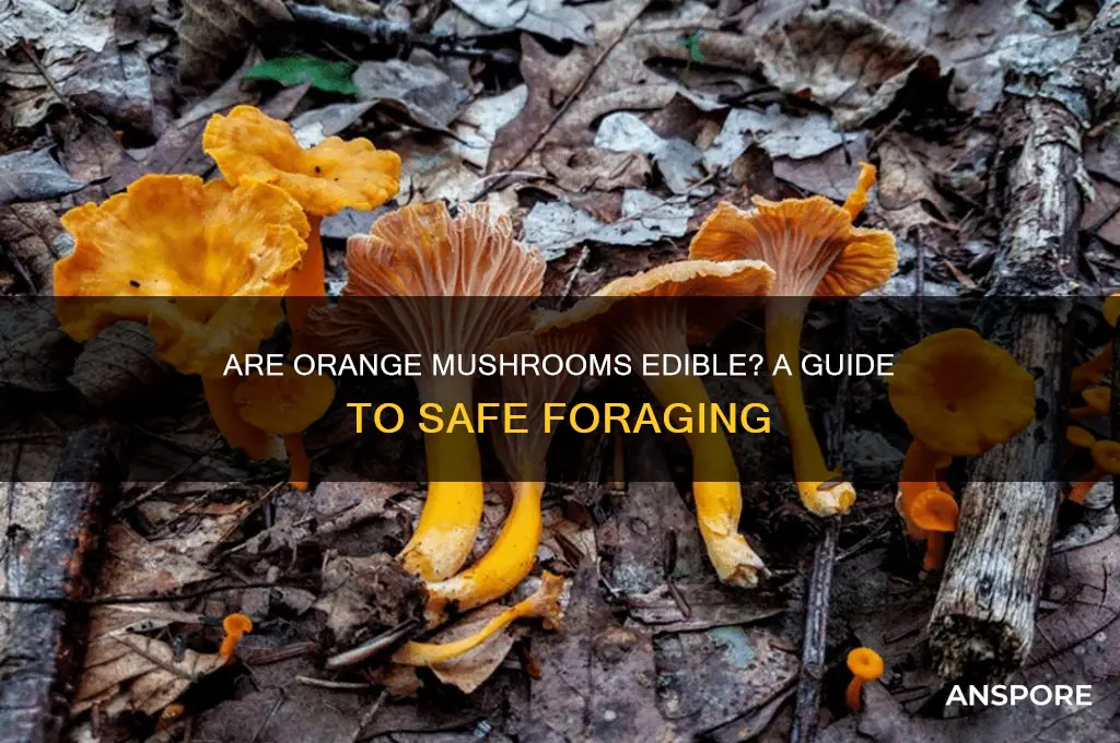 are orange mushrooms safe to eat