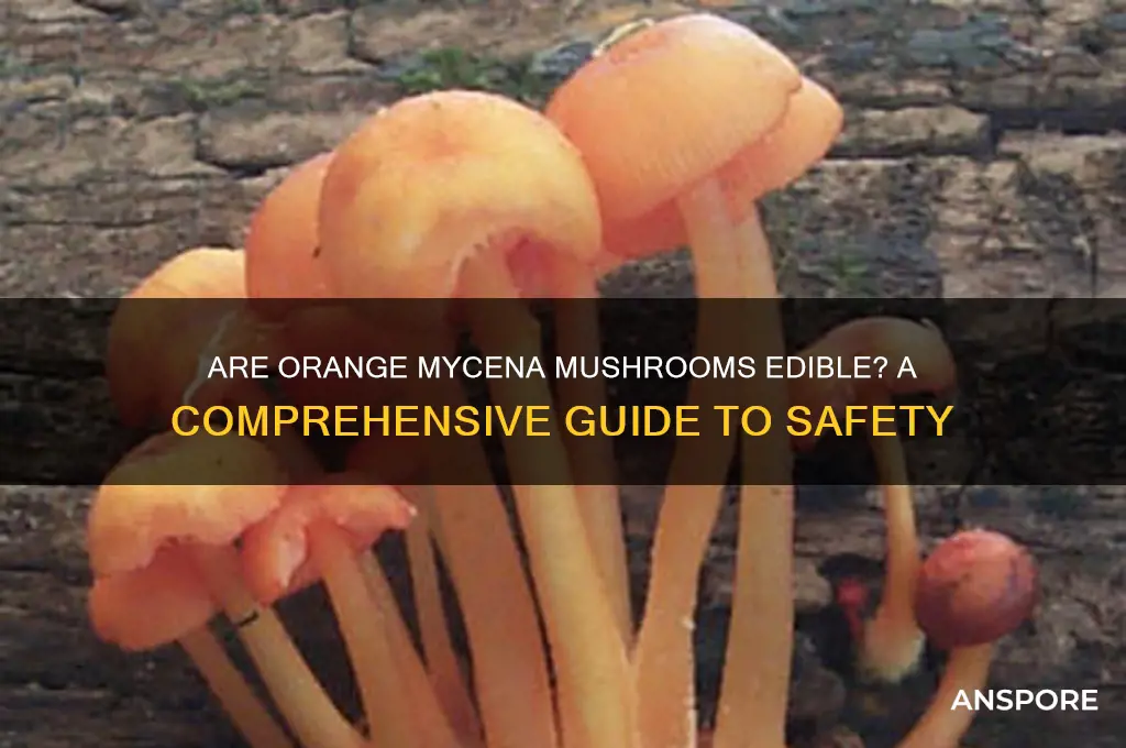are orange mycena mushrooms edible