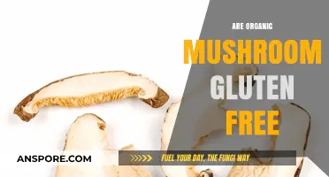 Mushroom Mystery: Are Organic Fungi Gluten-Free?