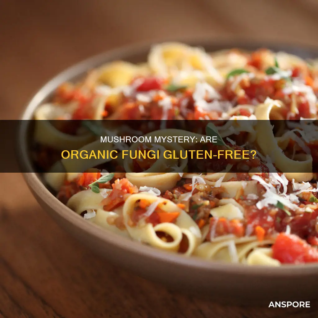 are organic mushrooms gluten free