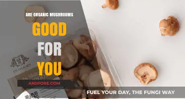 Organic Mushrooms: Unlocking Health Benefits and Nutritional Power