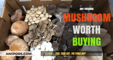 Organic Mushrooms: Are They Worth the Extra Cost?