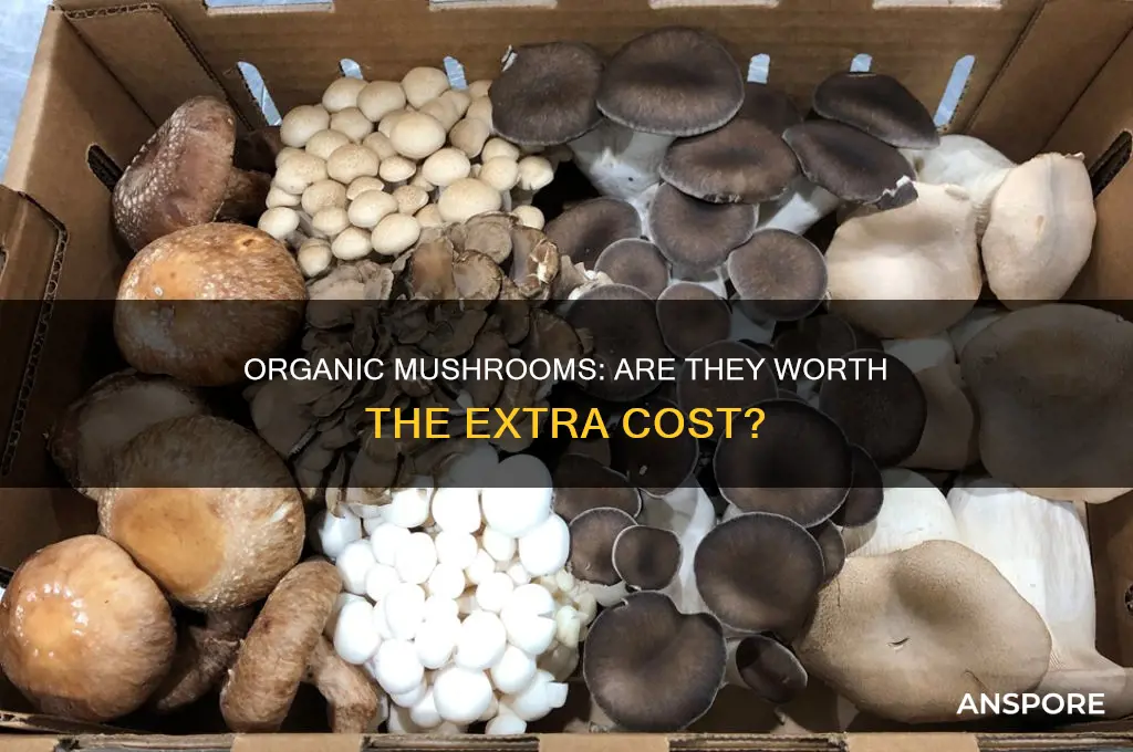 are organic mushrooms worth buying