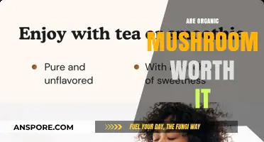 Organic Mushrooms: Worth the Hype?
