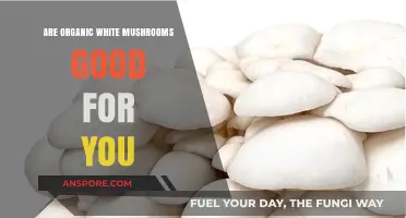 Organic White Mushrooms: Unveiling Their Health Benefits and Nutritional Value