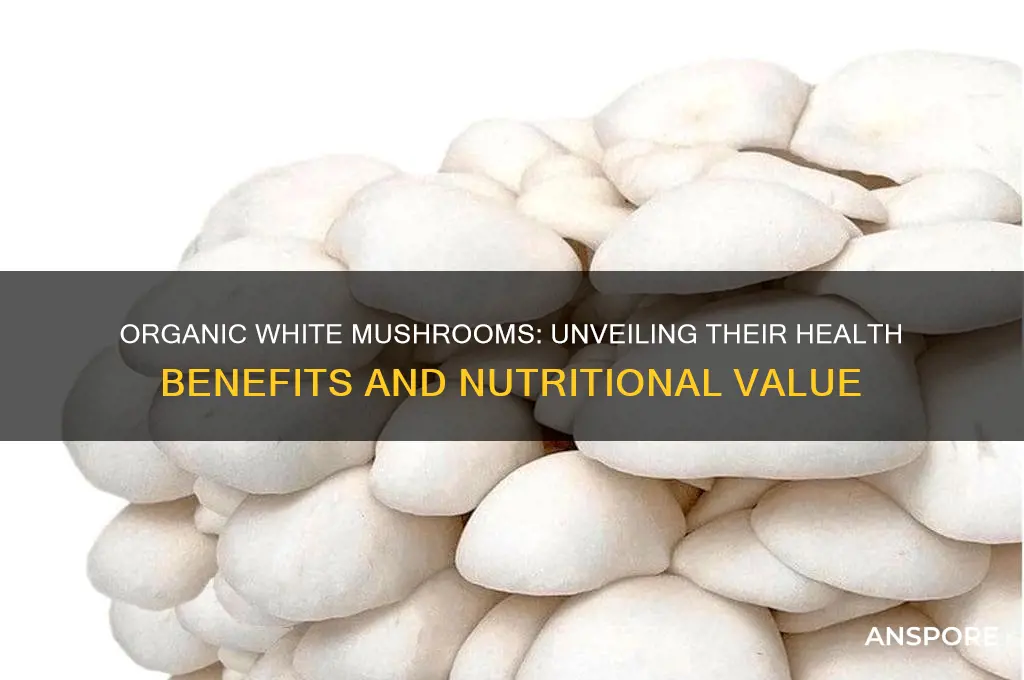 are organic white mushrooms good for you