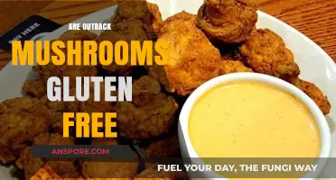 Outback Mushrooms: Are They Gluten-Free?