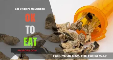 Overripe Mushrooms: Safe to Eat or Toss? Expert Advice