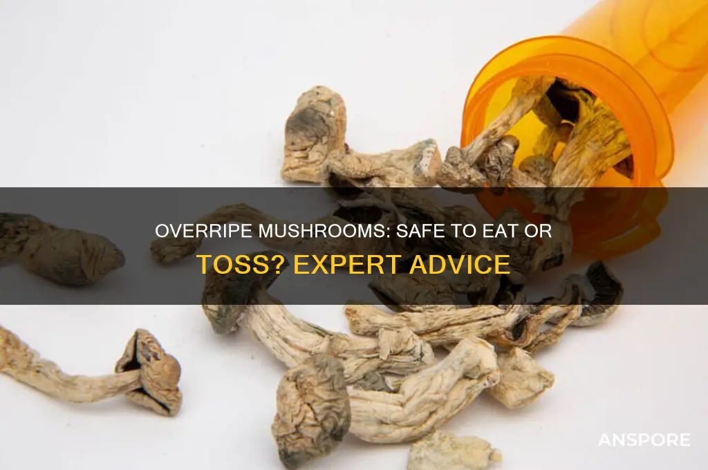 are overripe mushrooms ok to eat