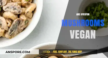 Oyster Mushrooms: Vegan or Not?