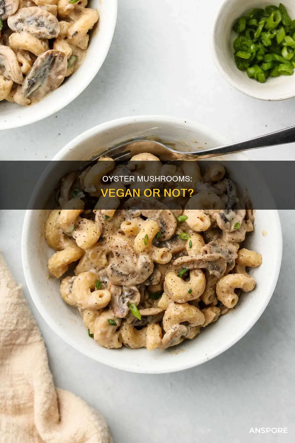 are oyester mushrooms vegan