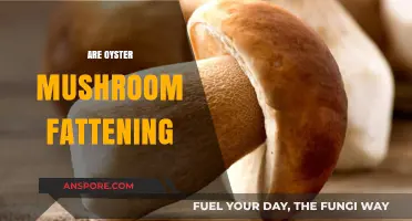 Oyster Mushrooms: Healthy or Diet-Busting?