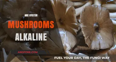 Oyster Mushrooms: Alkaline or Acidic?