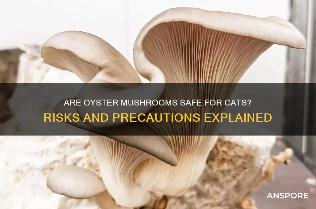 are oyster mushrooms bad for cats
