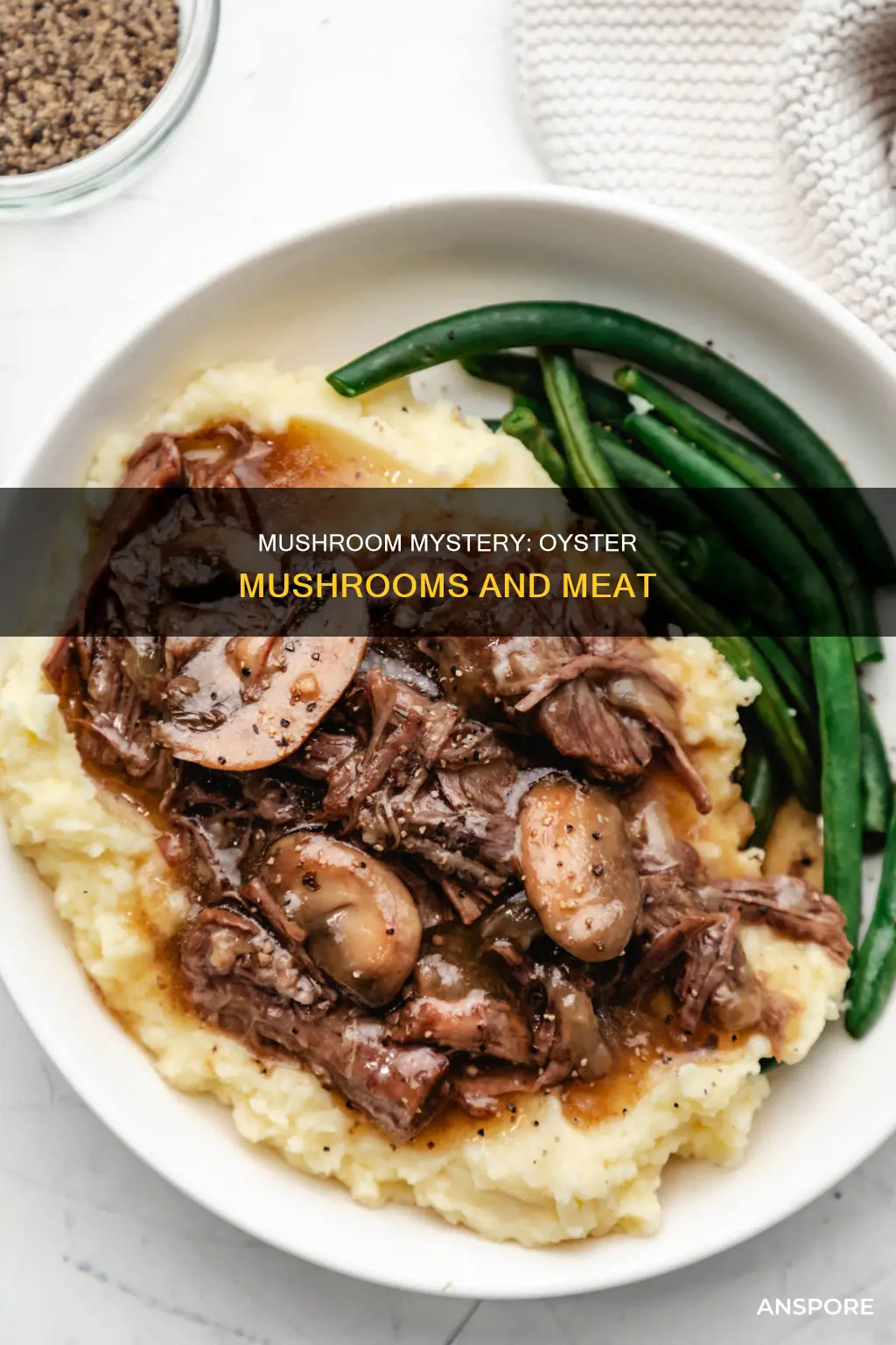 are oyster mushrooms carnivorous