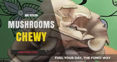 Chewy Oyster Mushrooms: What's the Deal?