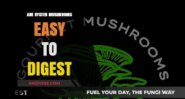 Oyster Mushrooms: Easy to Digest Superfood?