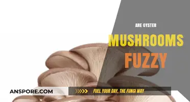 Exploring Oyster Mushrooms: Fuzzy or Smooth?