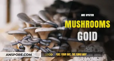 Oyster Mushrooms: Healthy, Delicious, Nutritious