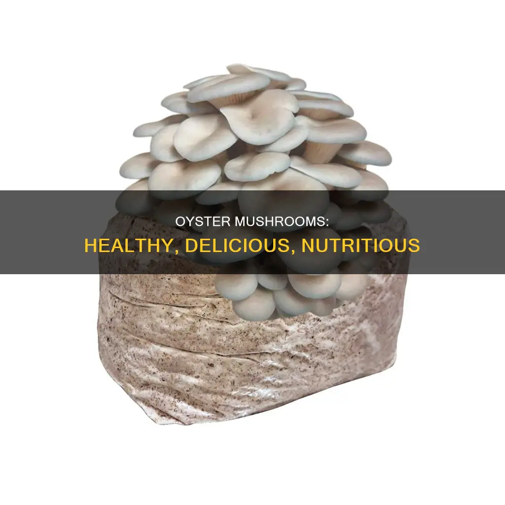 are oyster mushrooms goid