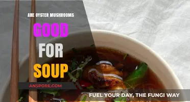 Oyster Mushrooms in Soup: Flavor, Nutrition, and Culinary Tips