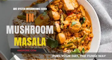 Oyster Mushrooms in Mushroom Masala: A Flavorful Addition or Miss?