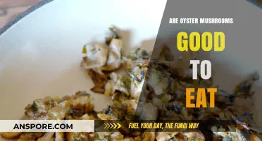 Discover the Delicious and Nutritious Benefits of Oyster Mushrooms