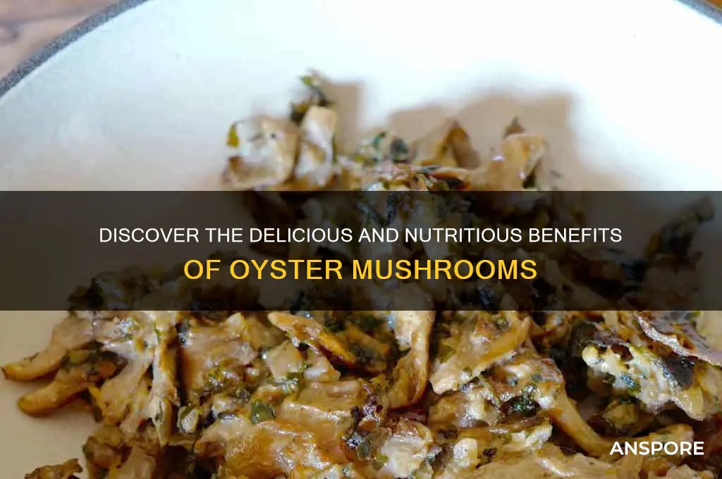 are oyster mushrooms good to eat